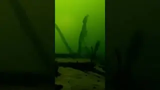Опустил камеру под лед, а там😨