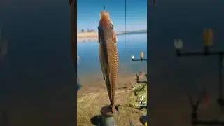 Відкрив сезон двома лаптями 🐟🐟 