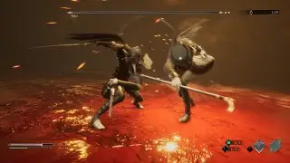 Thymesia Odur Kneels Before The Parry!