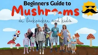 MUSHROOMS: A BEGINNERS' GUIDE!!