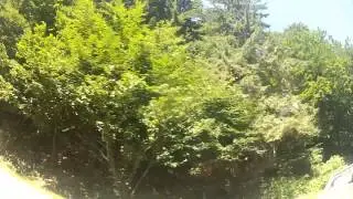 On Run