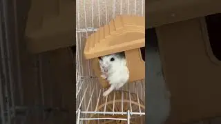 Заходите ко мне на канал💗 