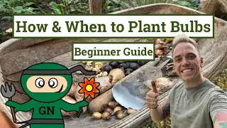 How to Plant Bulbs in Gardens, Containers or Lawns: Beginner Guide & Mistakes to AVOID!