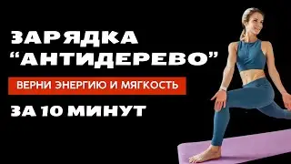 Зарядка "АНТИДЕРЕВО"