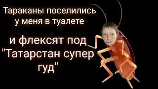 У меня завелись тараканы!