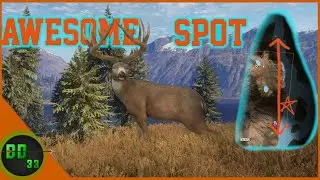 We Found A Secret Spot for Monster Whitetails! Call Of The Wild