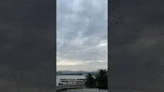 Стамбул🕊️ 