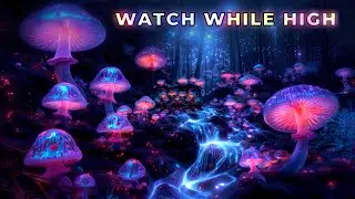 SHROOMS | Trippy Animation