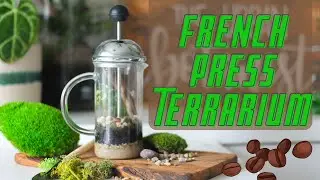 DIY - Thrifted Terrarium How-To