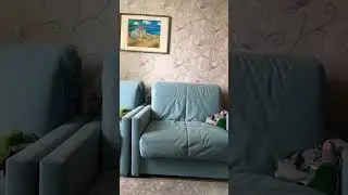 15 августа 2023 г.