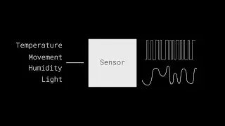 What's the difference between digital and analog sensors?