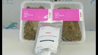 Ollie Fresh Dog Food Review
