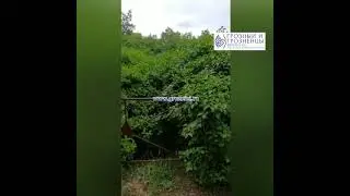 ПРОЕКТ КАВКАЗ ГОРСКИЙ Поиск и очистка могилы на центральном кладбище в Грозном 02.06.21