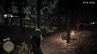 Rdr2 funny moments ep 1
