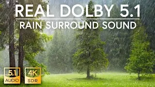 5.1 Rain Natural Sound in Real Dolby 5.1 Surround Hi-Res