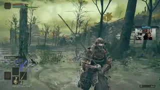 thats a fucking dragon!!!!