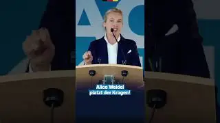 Alice Weidel platzt der Kragen! #solingen