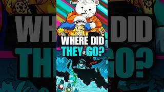 What Happened To Trafalgar Law And Bepo?!? 