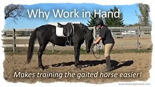 Why work in hand makes training the naturally gaited horse easier