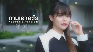 ถามเอาอะไร - มิ้วส์ อรภัสญาน์ 【Acoustic Version】