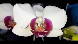 НОВОСТИ. Что с каналом. Обращение к подписчикам.