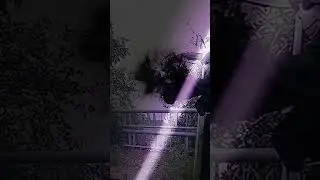 Reaper sans vs 505
