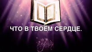 Аллах Велик .он всегда рядом