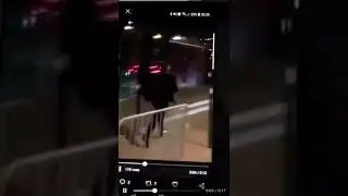 Olympique Lyon manager Bruno Genesio allegedly chases after fan who verbally abused his daughter