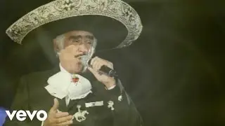 Vicente Fernández - Hilos De Plata (Audio)