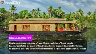 5 Must Dos in Kerala | TravelDilSe
