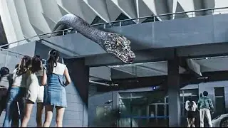 巨蛇不停的追杀学生，一个都不放过！【巨蛇闯女校Rising Boas in a Girl's School】|驚悚 災難 |【電影派對】