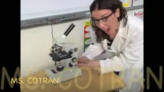 A Cell in Microscopes
