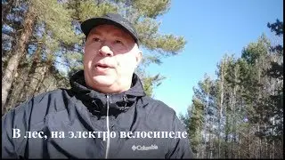 В лес на электровелосипеде