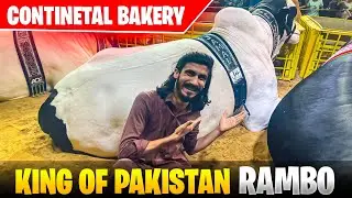 Rambo se milny gay | Continental Bakery Cow 2024 | BROTHERS TILL DEATH