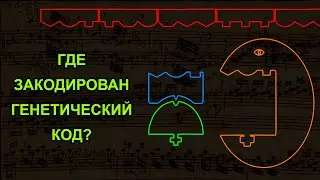 Пьеса для рибосомы