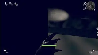 Fear