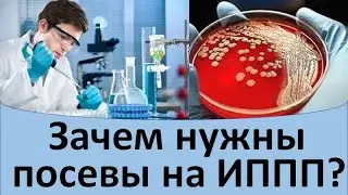 Зачем нужны посевы на ИППП