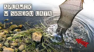 SIATKA na RYBY wpływa na ILOŚĆ BRAŃ ?