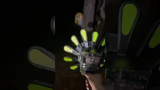OMG! 😱 LOOK MET MISS DELIGHT IN THE FOREST AT NIGHT IN REAL LIFE! 😱 POPPY PLAYTIME