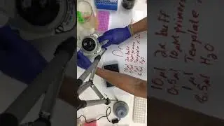 Eco qpcr plate prep