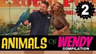 Wendy Williams Wild Animals Compilation 02
