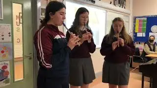 Traditional Irish Music_ Ireland