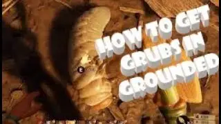 How to Get Grubs for Hide and Goop Grounded Early Access