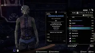 Eso poranne Quest