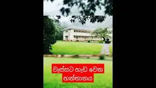 වැස්සට හැඩ වෙන හන්තානය #Shorts