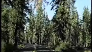 Wilbur's Travels Redwood Forest Thru San Francisco Part 7