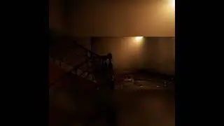 From the ceiling [S2FM]