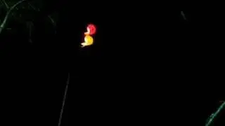 Dominican Heliport Lights