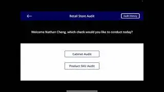 Retail Store Audit App Demo
