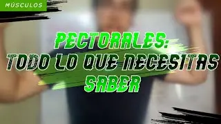 Cómo tener unas p1nches ch1ch0tas. Pectorales: Todo lo que necesitas saber.